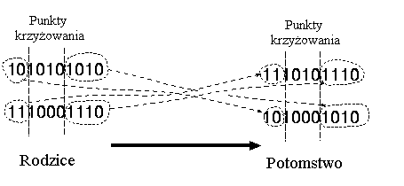 0x08 graphic