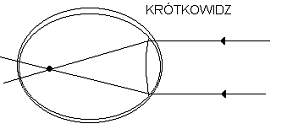 0x08 graphic