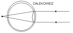 0x08 graphic