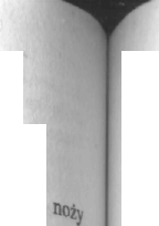 0x08 graphic