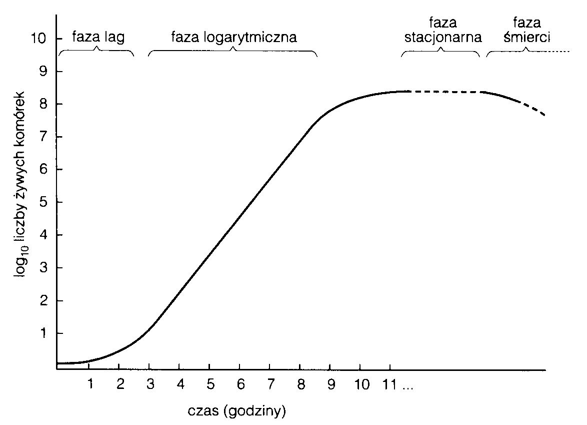 0x08 graphic