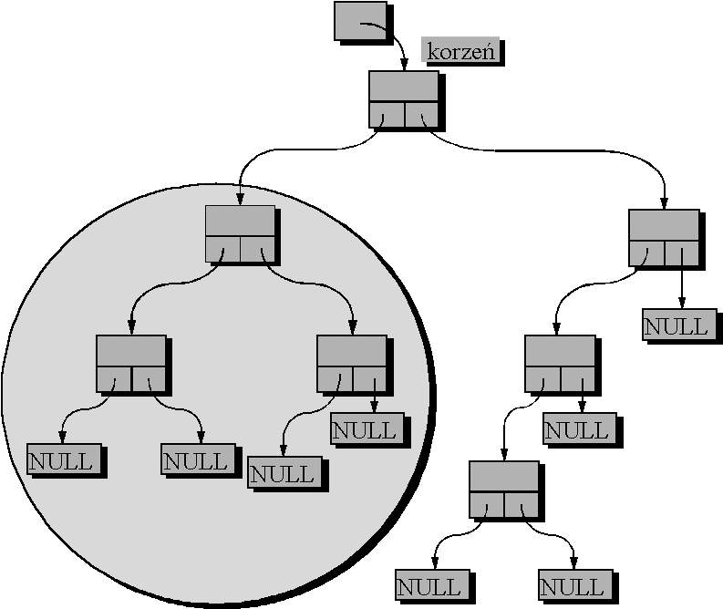 0x08 graphic