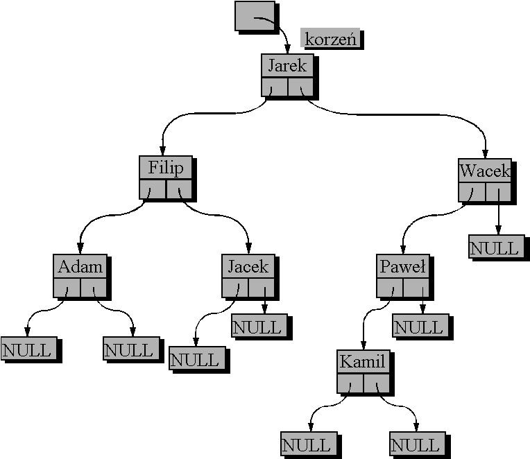 0x08 graphic