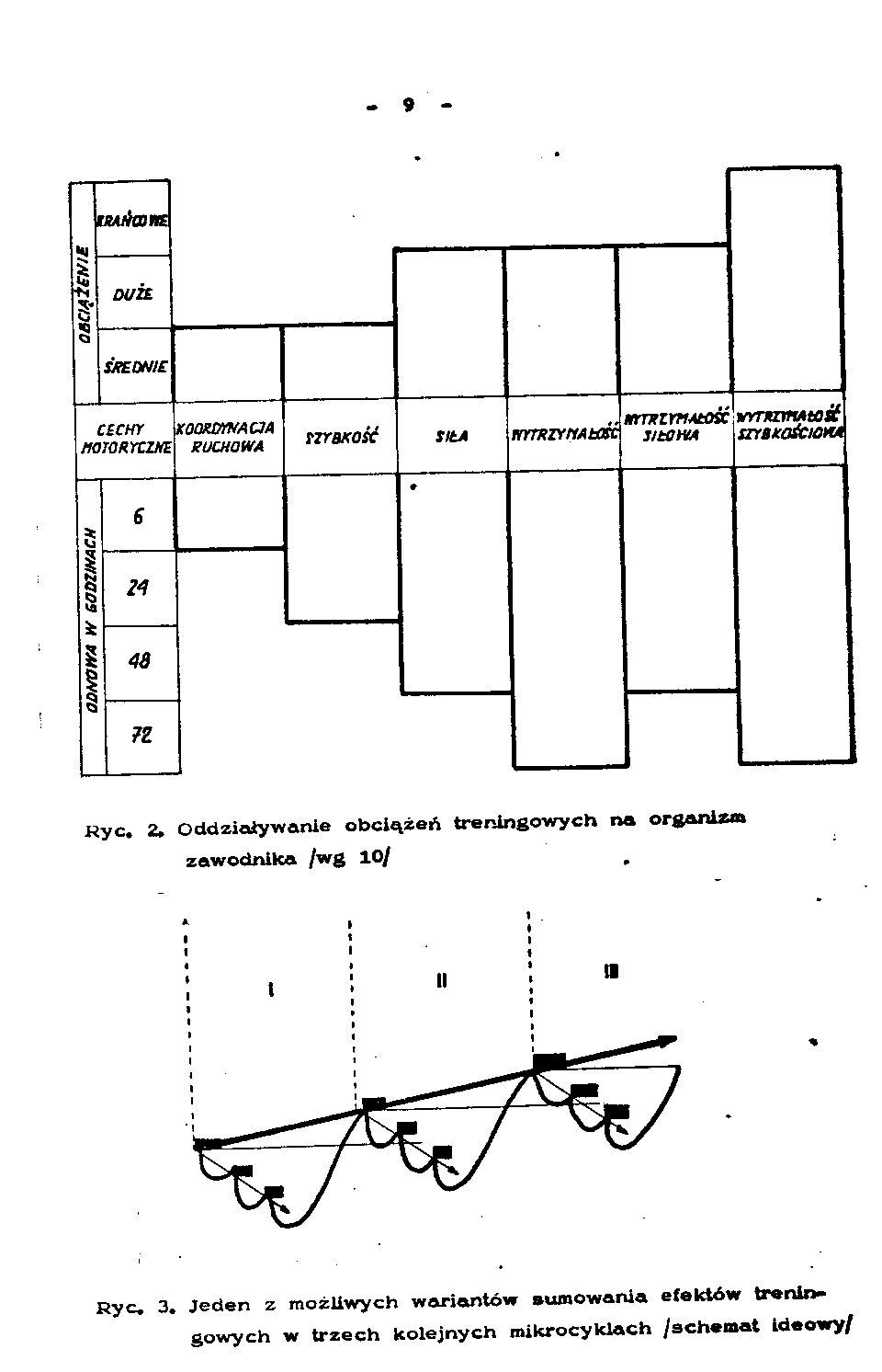 0x08 graphic