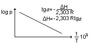 0x08 graphic