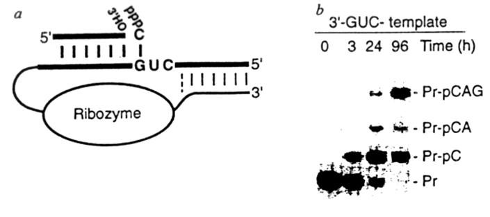 0x08 graphic