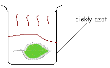 0x08 graphic