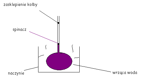 0x08 graphic