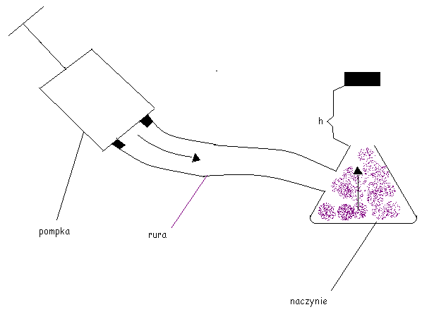 0x08 graphic