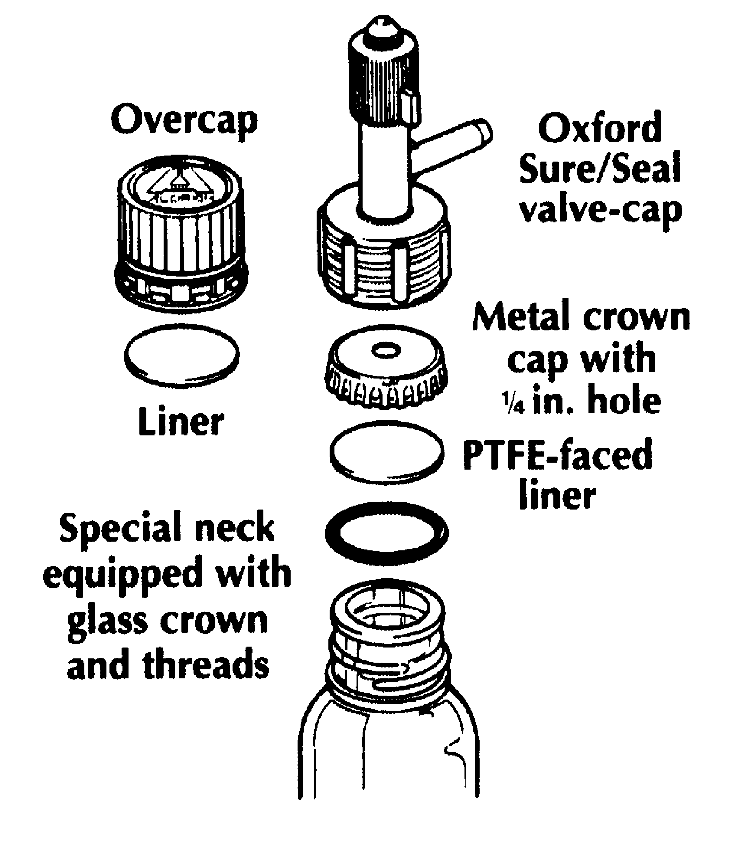 0x08 graphic