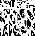 0x08 graphic