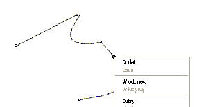 0x08 graphic