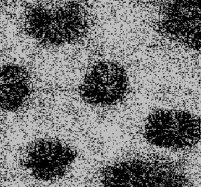 0x08 graphic