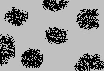 0x08 graphic