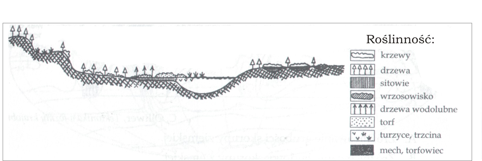 Hydrosfera Zadania Maturalne 8493