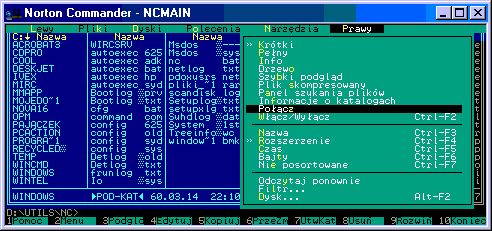 0x08 graphic