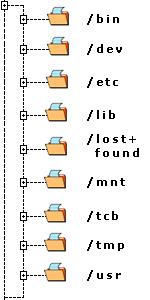 0x08 graphic