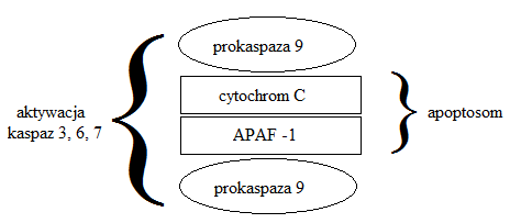 0x08 graphic