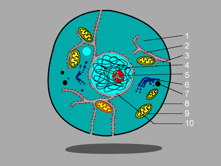 0x08 graphic