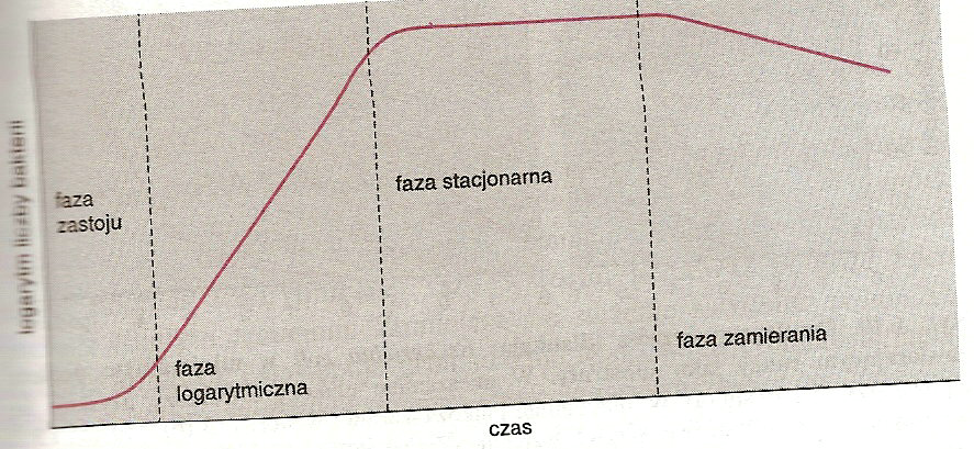 0x08 graphic