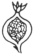 0x08 graphic