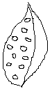 0x08 graphic