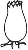 0x08 graphic