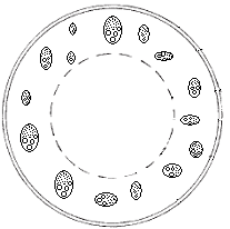 0x08 graphic