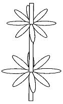 0x08 graphic