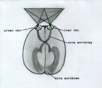 0x08 graphic