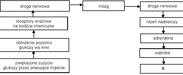 0x08 graphic