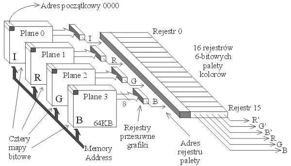 0x08 graphic