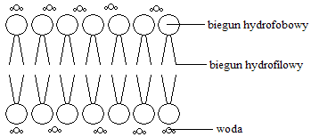 0x08 graphic