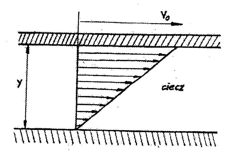 0x08 graphic