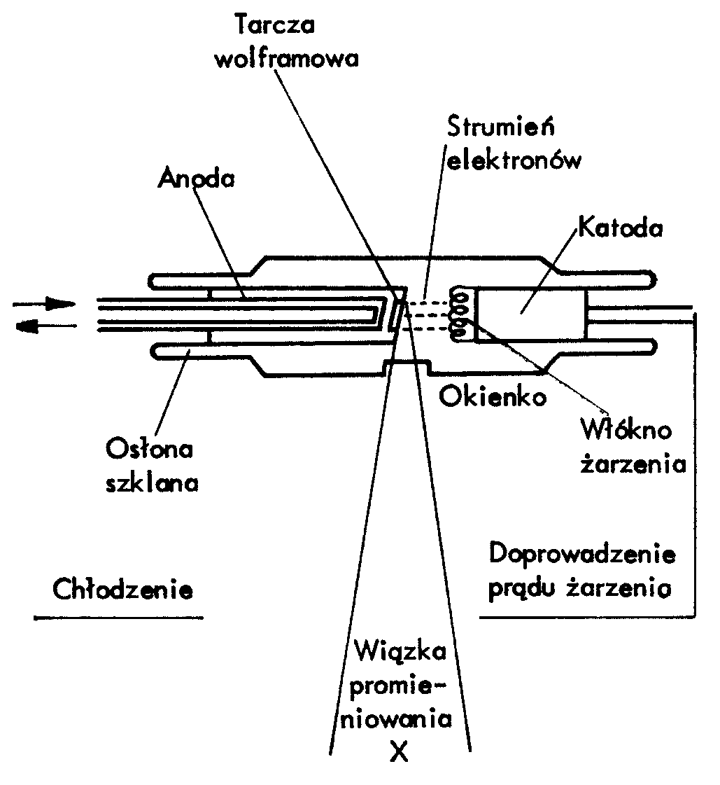 0x08 graphic