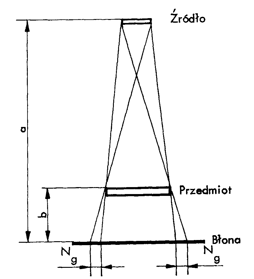 0x08 graphic