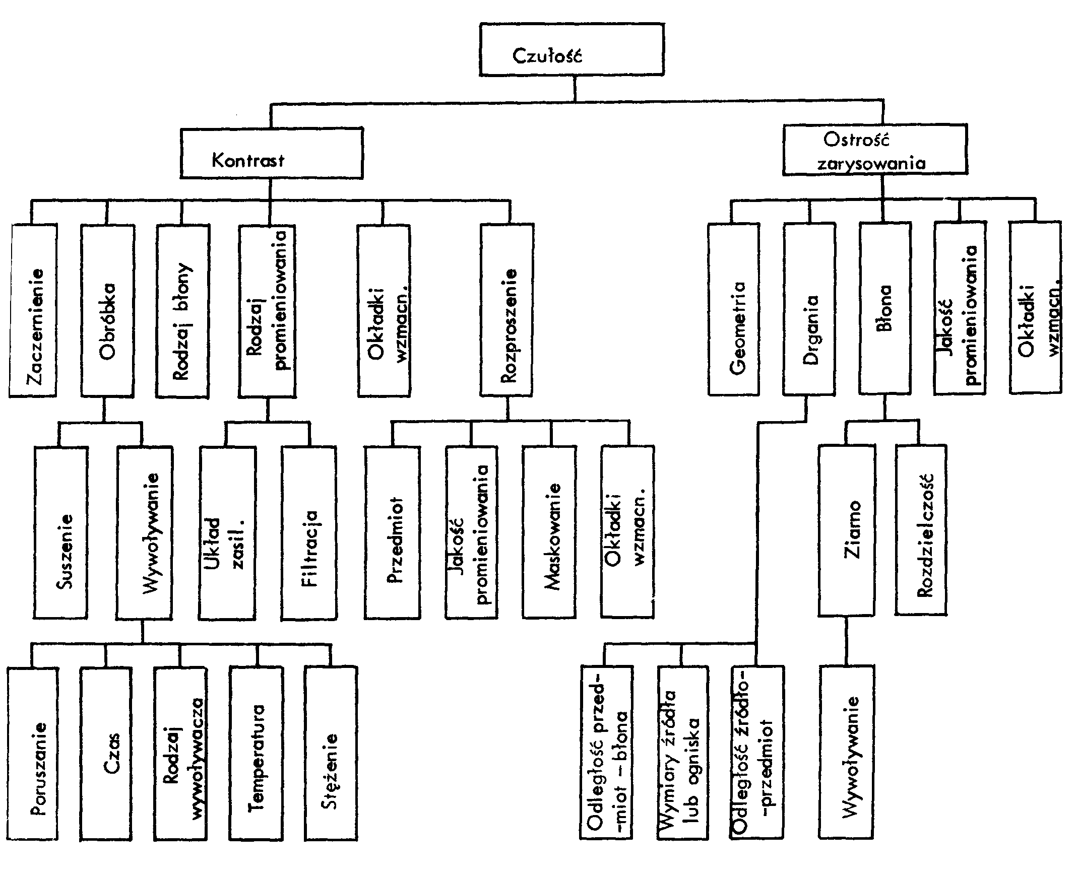 0x08 graphic