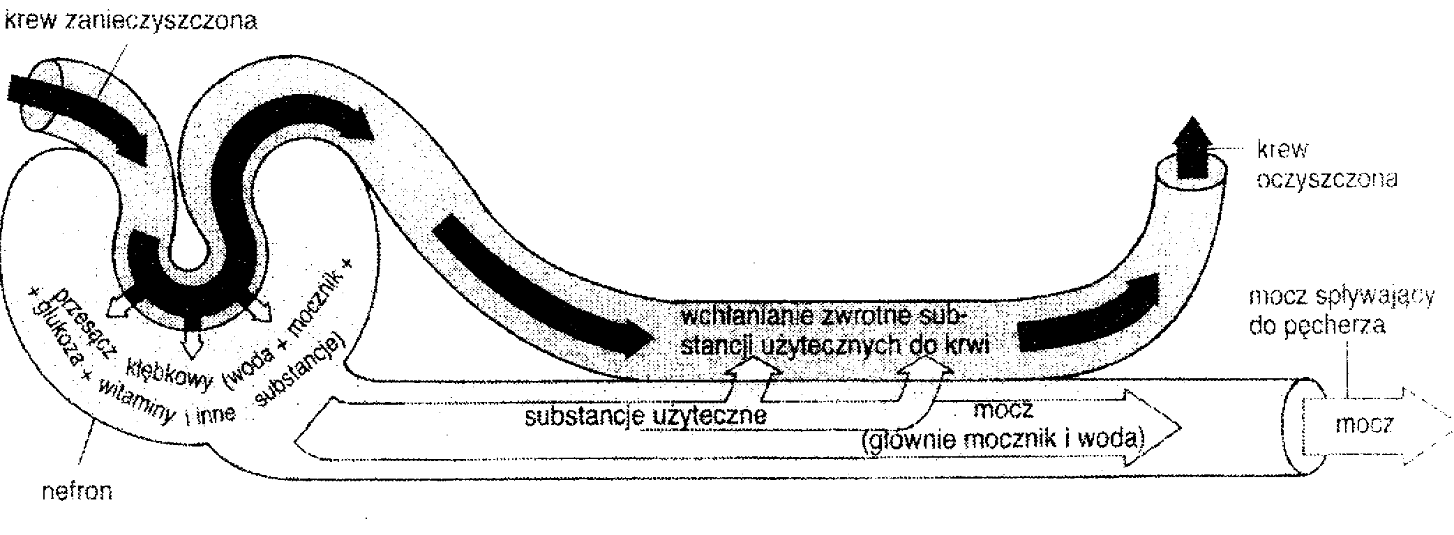 0x08 graphic