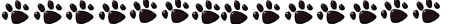 0x08 graphic