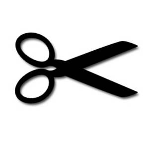 0x08 graphic