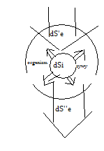 0x08 graphic