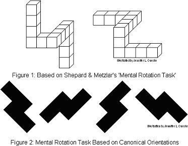 0x08 graphic