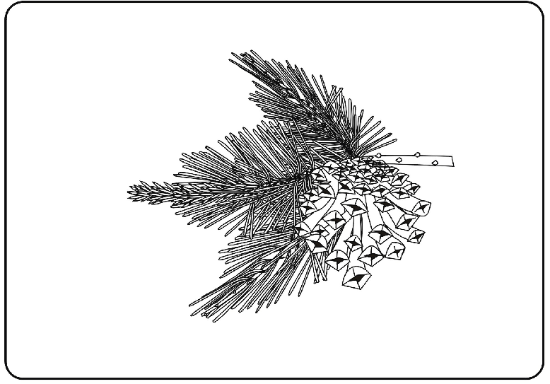 0x08 graphic