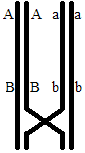 0x08 graphic