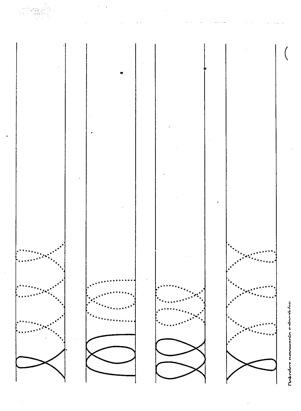 0x08 graphic