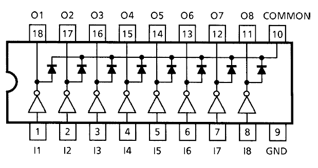 0x08 graphic