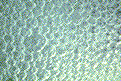 0x08 graphic