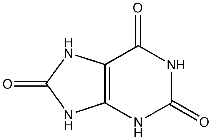 0x08 graphic