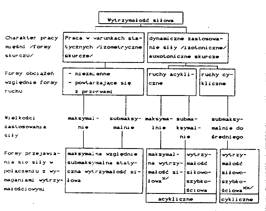 0x08 graphic