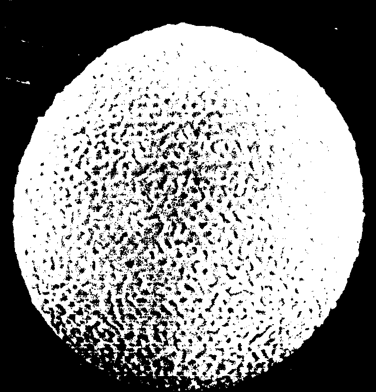 0x08 graphic